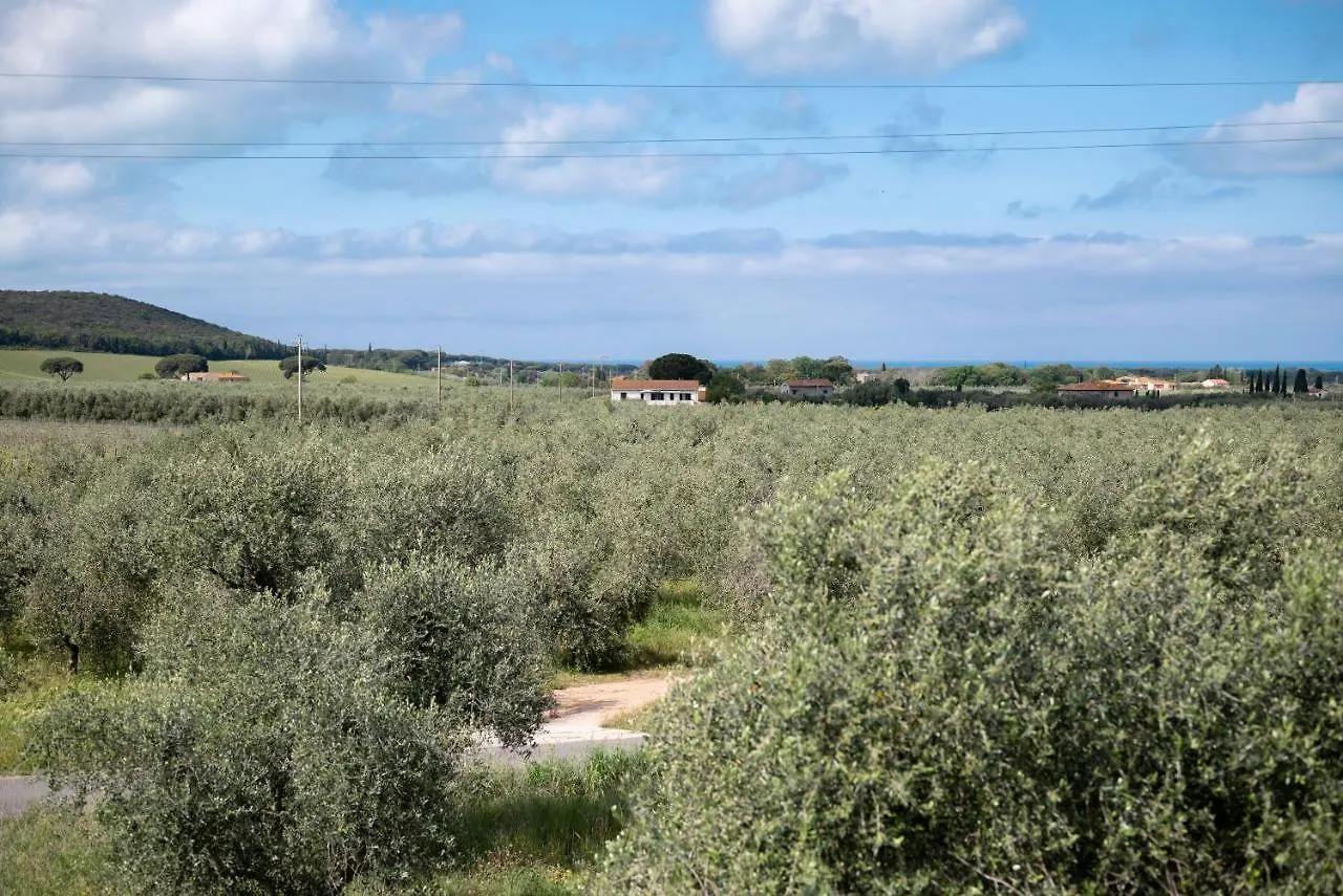 Frühstückspension Podere Vignanova Accommodations & Spa Castagneto Carducci